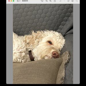 Meet your Posher, Liena